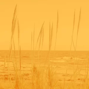 Photography Beach_Vass