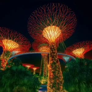 Singapore Night